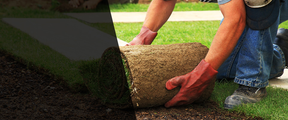 Terrebonne Landscapers